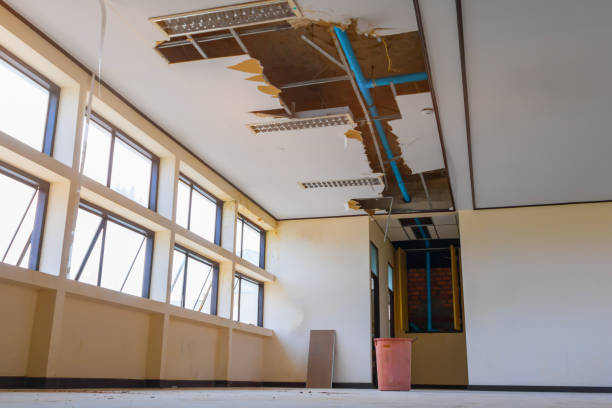 Best Professional water damage repair  in Rouses Point, NY