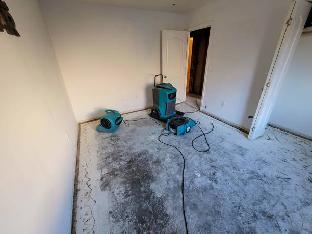 Best Local water damage restoration  in Rouses Point, NY