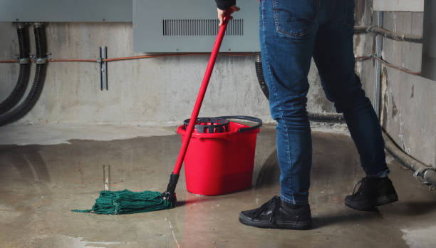 Best Water damage contractors near me  in Rouses Point, NY
