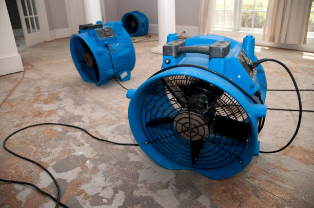 Best Water damage mitigation services  in Rouses Point, NY