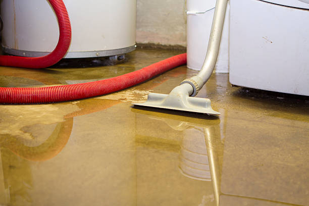 Best Carpet water damage restoration  in Rouses Point, NY