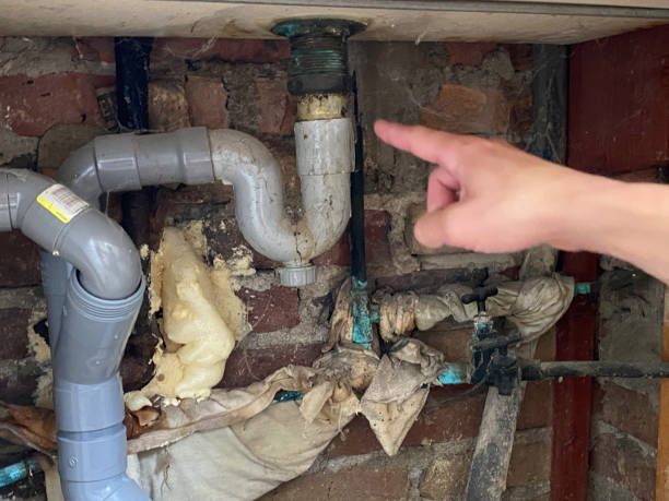 Best Flood damage cleanup  in Rouses Point, NY